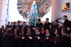 Z51284393_2246060712381937_7038252870340182016_n